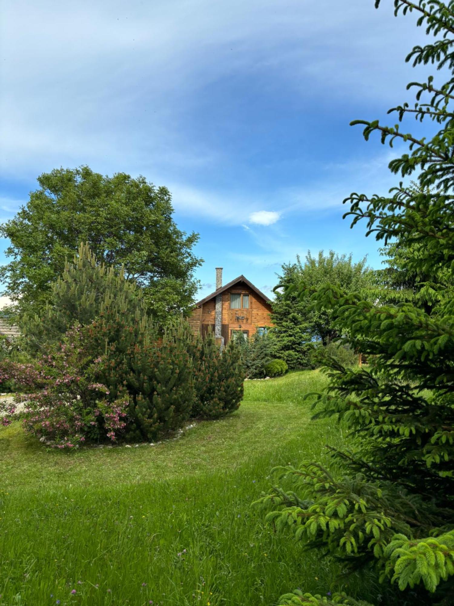 Chalet Ro Pestera  Exterior photo