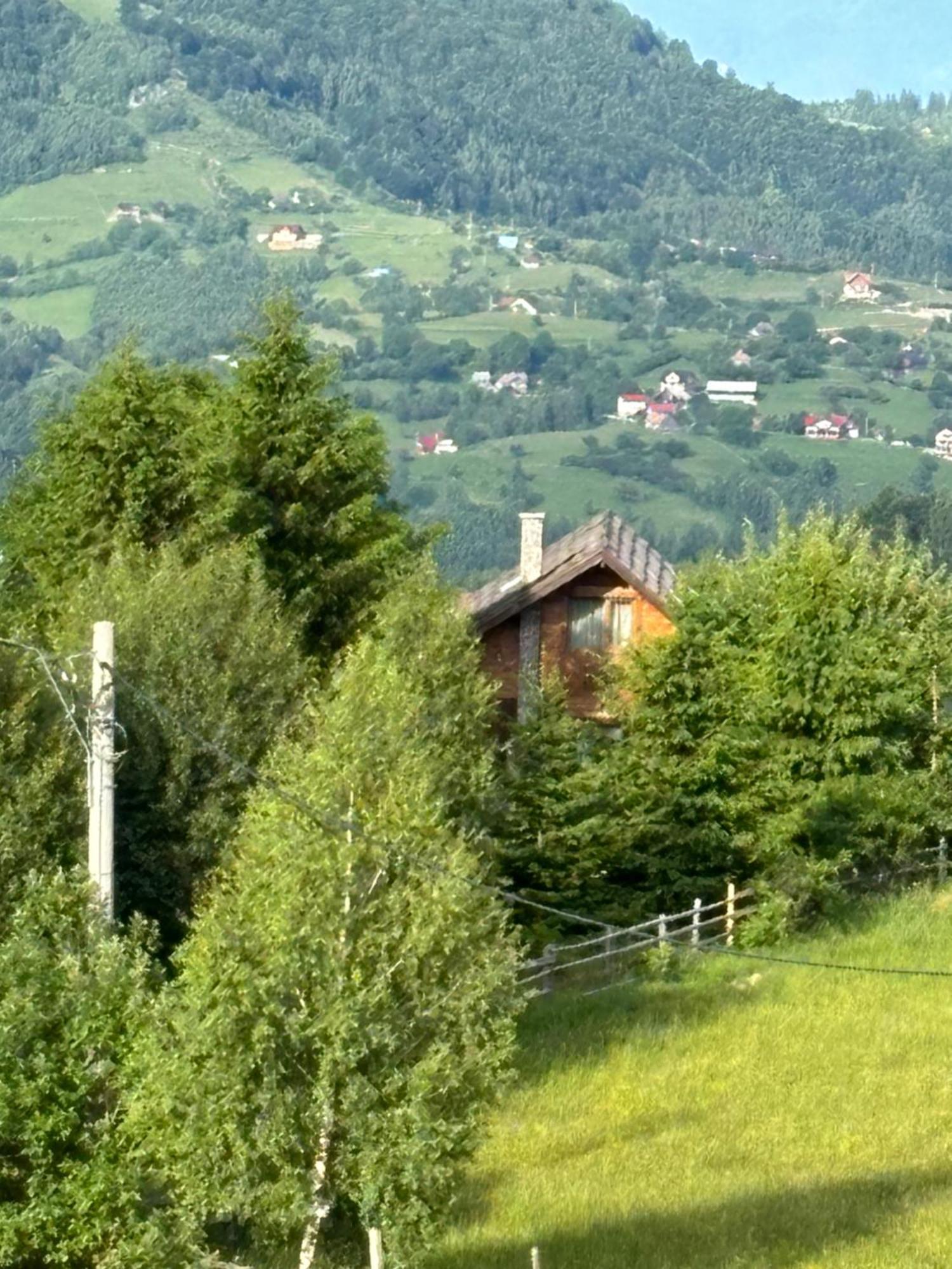 Chalet Ro Pestera  Exterior photo