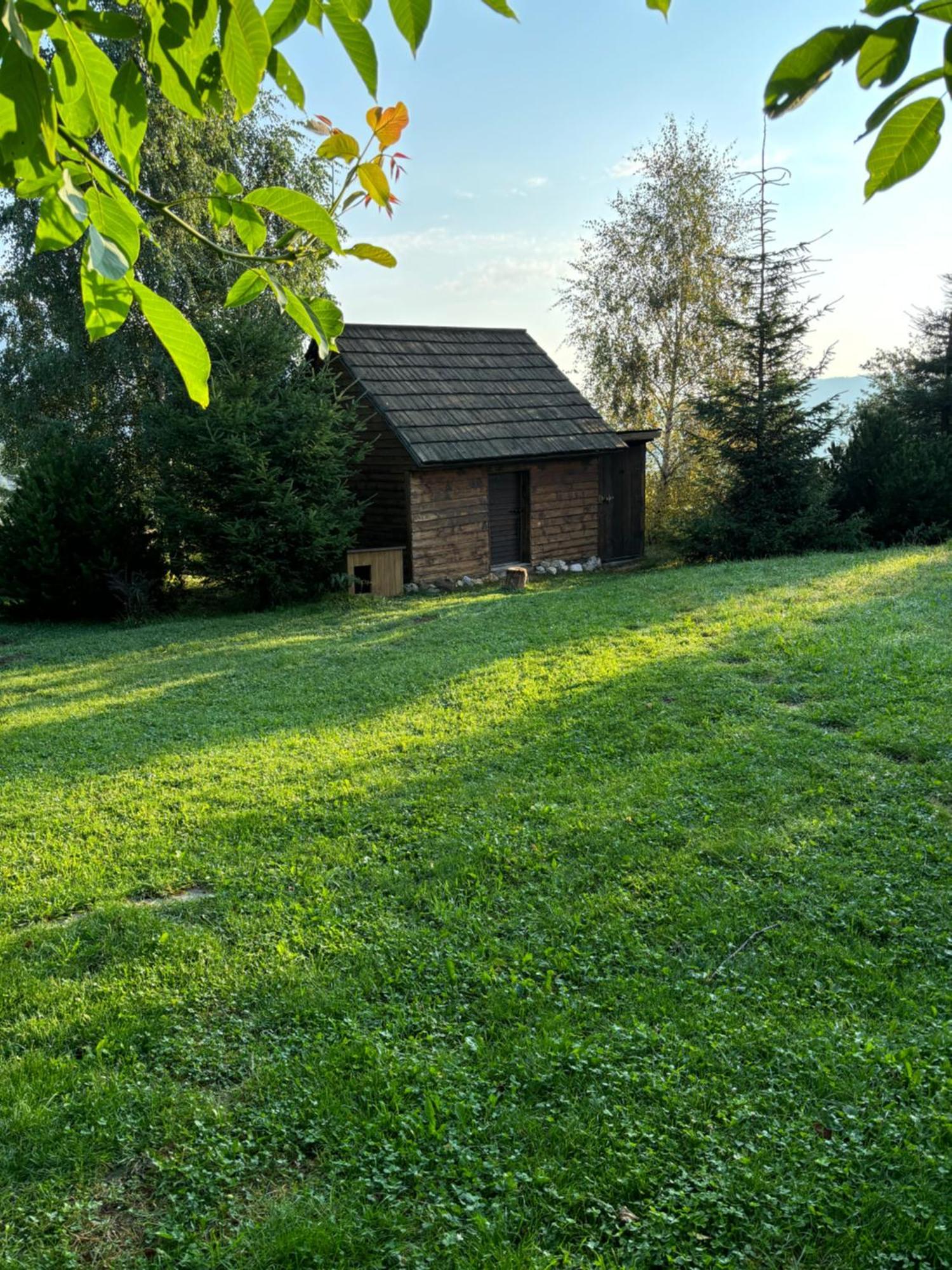 Chalet Ro Pestera  Exterior photo